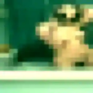 Fanny (44 ans) à Boucau propose une rencontre rapidement