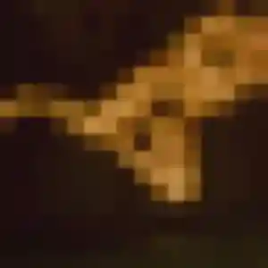 plan cul à Bouguenais : photo de Karine, 25 ans - accès libre