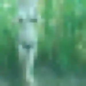 Profil de Anouk à Bourg-Saint-Maurice (41 ans) - plan cul gratuit