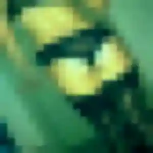 Rejoins Therese, 31 ans à Bourgoin-Jallieu en privé