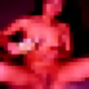 Belle Judith, 20 ans à Boussy-Saint-Antoine - la contacter