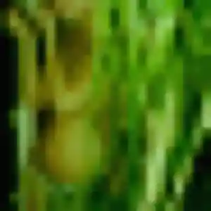 Colombe, 32 ans, disponible à Briançon pour un plan cul