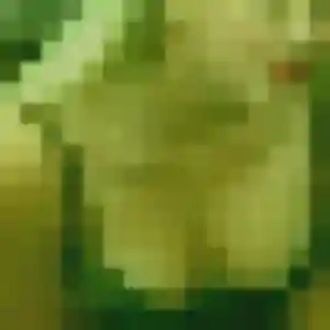 Cecile, 36 ans, disponible à Brignais pour un plan cul