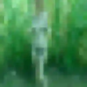 Zina (23 ans) à Brindas attend une rencontre maintenant