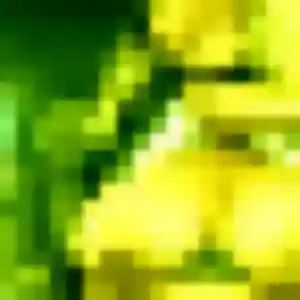 Jolie Odette, 21 ans à Bruay-la-Buissière - voir sa photo