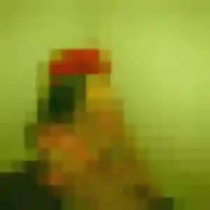 Charlotte de Bruges, 30 ans - plan cul en toute liberté