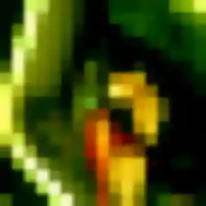 Découvre Louna, 27 ans à Brumath en t'inscrivant