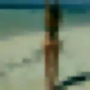 Photo de Roxane à Cabriès (31 ans) - plan cul discret