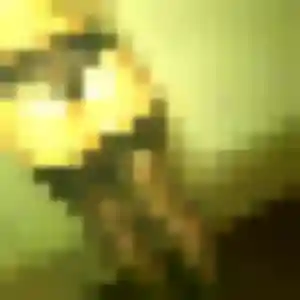 Profil de Cassandre à Caen (36 ans) - plan cul gratuit