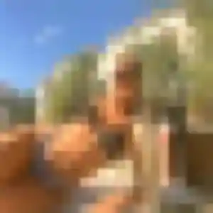 Josiane, 33 ans, veut un plan cul à Calais