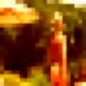 Rencontre Irene, 43 ans à Calonne-Ricouart en privé