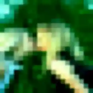 Janine (29 ans) à Calvi cherche une rencontre rapidement