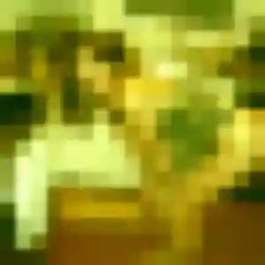 Charlotte, 27 ans, cherche un plan cul à Canohès