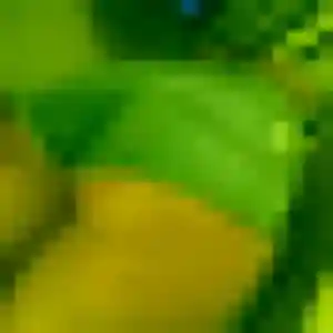 Pauline, 33 ans, en ligne à Capesterre-Belle-Eau pour un plan cul