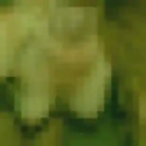 plan cul à Carbonne : photo de Magalie, 39 ans - sans engagement