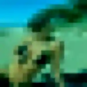 Photo perso de Veronique, 31 ans à Carbonne - rencontre coquine