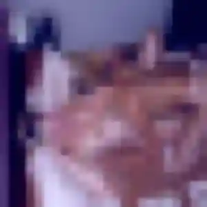 Josiane, 37 ans, en ligne à Carpentras pour une rencontre coquine