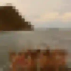 Rencontre Noura, 42 ans à Carvin gratuitement