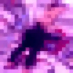 Découvre Romina, 45 ans à Castelnaudary en privé