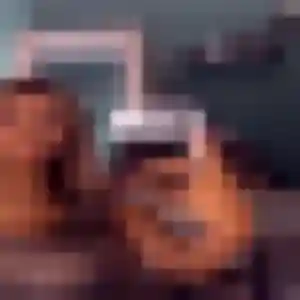 Rencontre Marilou, 28 ans à Caudry gratuitement