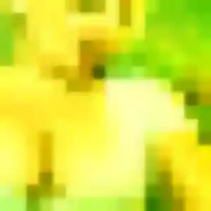 Profil de Rebecca à Caumont-sur-Durance (23 ans) - plan cul sans inscription