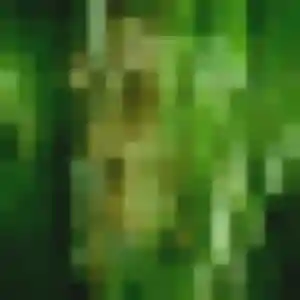 Photo perso de Laetitia, 42 ans à Cavaillon - rencontre sans lendemain