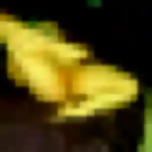 Profil de Xena à Cavaillon (40 ans) - plan cul discret