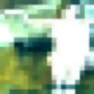 Louise, 40 ans, connectée à Chabeuil pour un plan cul