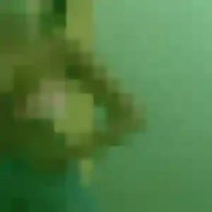 Elise, 43 ans, dispo pour plan cul à Chalon-sur-Saône