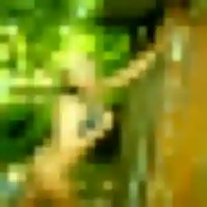 Maelys, 30 ans, connectée à Chalonnes-sur-Loire pour une rencontre coquine