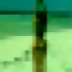 Photo perso de Noemie, 33 ans à Chalonnes-sur-Loire - rencontre sans lendemain