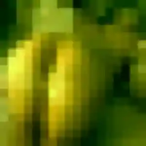 Ghislaine, 44 ans, connectée à Chamalières pour un plan cul