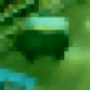 Photo de Alicia à Chamonix-Mont-Blanc (25 ans) - plan cul gratuit