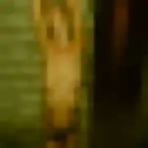 Svetlana, 22 ans, veut un plan cul à Champagne-sur-Oise