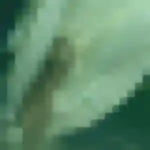 Photo privée de Adeline, 36 ans à Champigneulles - rencontre coquine