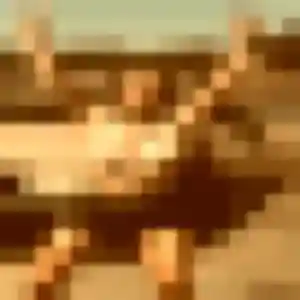 Heloise, fille de 31 ans cherche plan cul à Chanteloup-les-Vignes