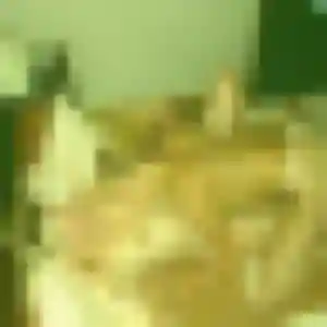 plan cul à Chasse-sur-Rhône : photo de Maelys, 42 ans - accès libre