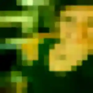 Photo sexy de Idalina, 42 ans à Châteauneuf-les-Martigues - rencontre coquine