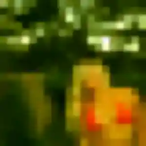 Découvre Celine, 36 ans à Châtelaillon-Plage en privé