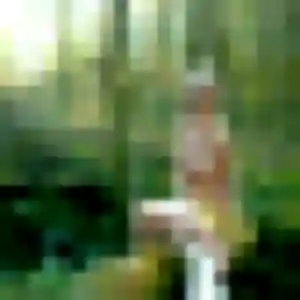 Rym de Châtelaillon-Plage, 37 ans - plan cul sans lendemain