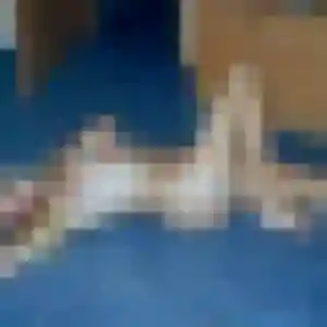 Sofia, femme de 38 ans cherche plan cul à Chessy