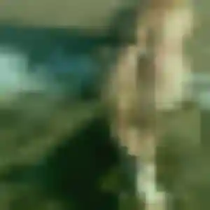 Madeleine (39 ans) à Clapiers attend une rencontre aujourd'hui