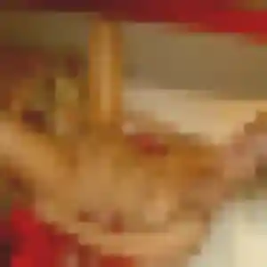 plan cul à Clermont-Ferrand : profil de Fleur, 25 ans - inscription gratuite