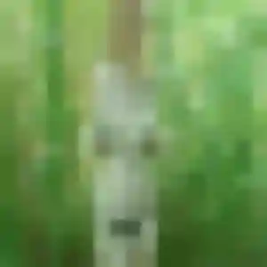 Oriane, fille de 29 ans veut plan cul à Colomiers