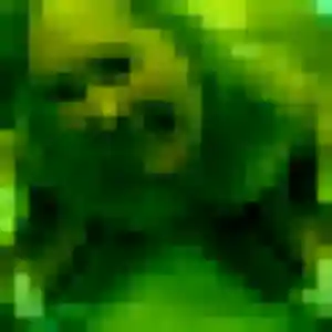 Jolie Whitney, 24 ans à Commentry - voir sa photo