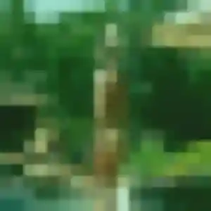 plan cul à Condé-sur-l'Escaut : profil de Karen, 45 ans - accès libre