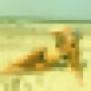 Sexy Regine, 21 ans à Contes - voir sa photo