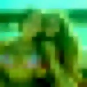 Charmante Solene, 28 ans à Coulommiers - voir sa photo