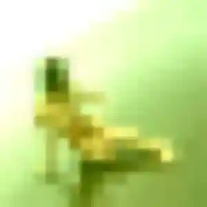 Anna de Courrières, 35 ans - plan cul sans lendemain