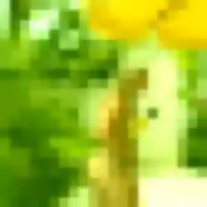 Jacqueline, fille de 21 ans propose plan cul à Courtry